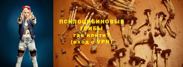 СК Аркадак