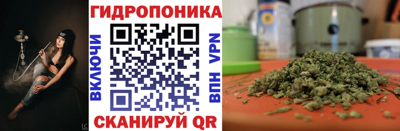 Конопля планчик  Белогорск 